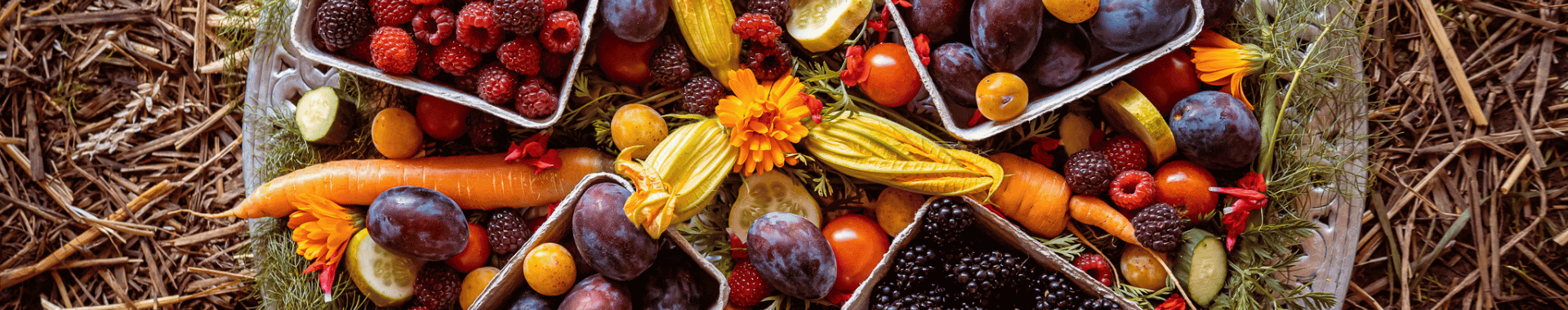 Website Header 1920x (2) (1)