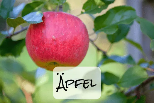 Hof Brachland - Apfel
