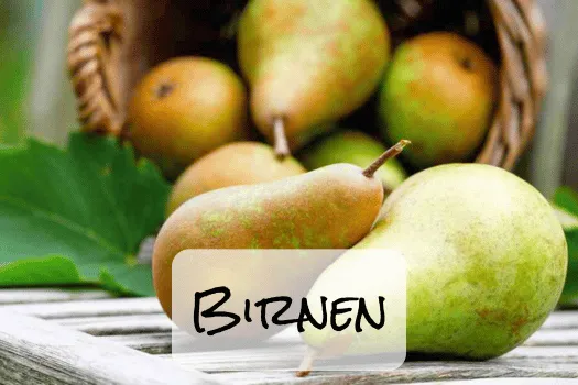 Hof Brachland - Birnen