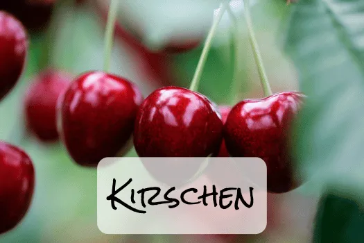 Hof Brachland - Kirschen