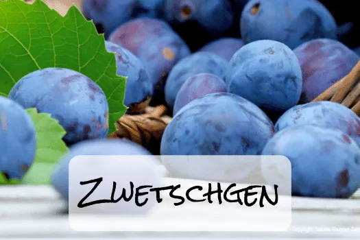 Hof Brachland - Zwetschgen