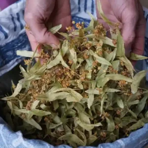 Lindenblüten getrocknet, 15g