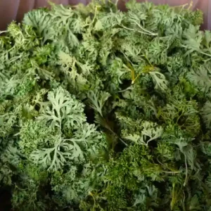 Petersilie getrocknet, 15g