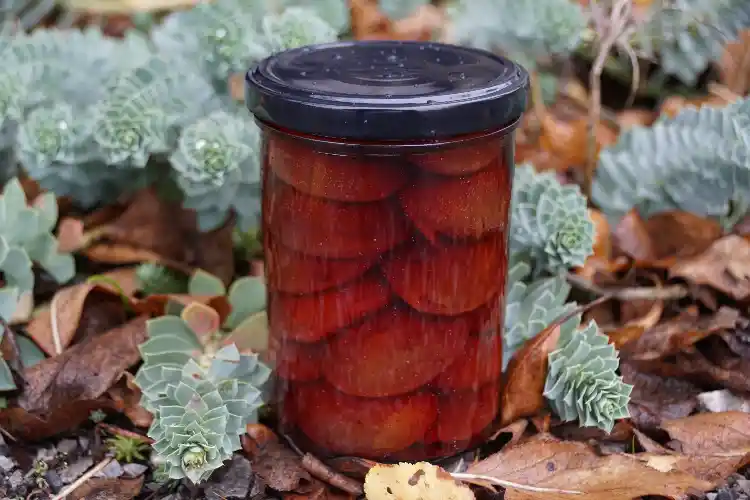 Zimt Zwetschgen, 400ml